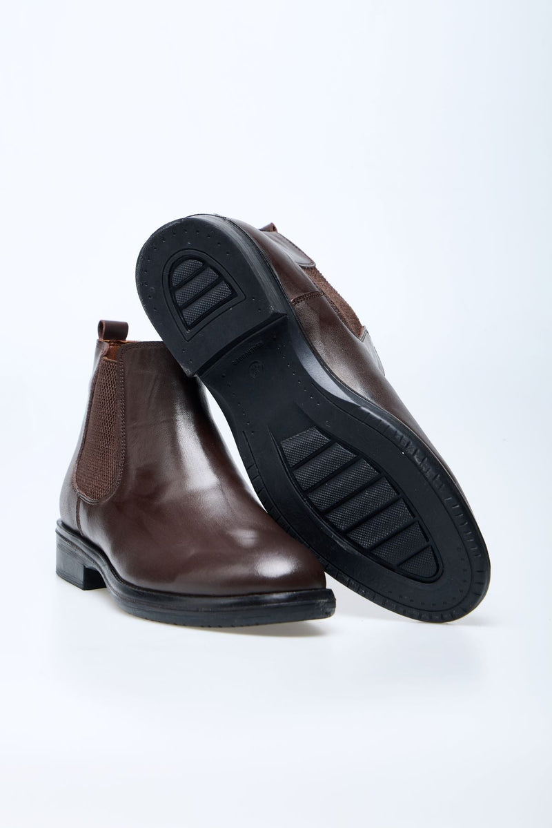 Alpine Chelsea Bot